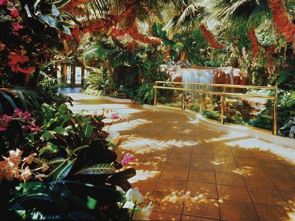Golden Nugget Laughlin - photo 27