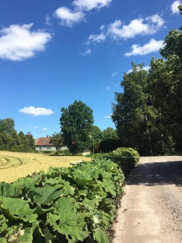 STF Vandrarhem Skåne Tranås — Tomelilla — photo 2