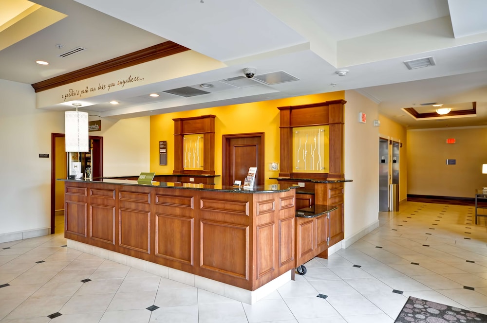 Hilton Garden Inn Tampa Northwest Oldsmar - photo 4