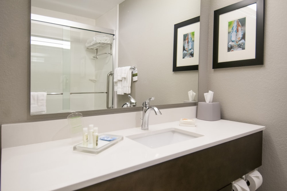 Holiday Inn New Orleans Airport North by IHG - photo 9