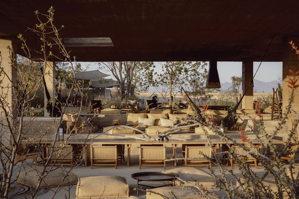 Paradero Todos Santos Exclusive Experiences in Todos Santos, Mexico