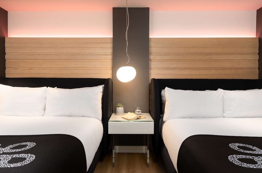 Hotel Zena Washington DC - photo 26