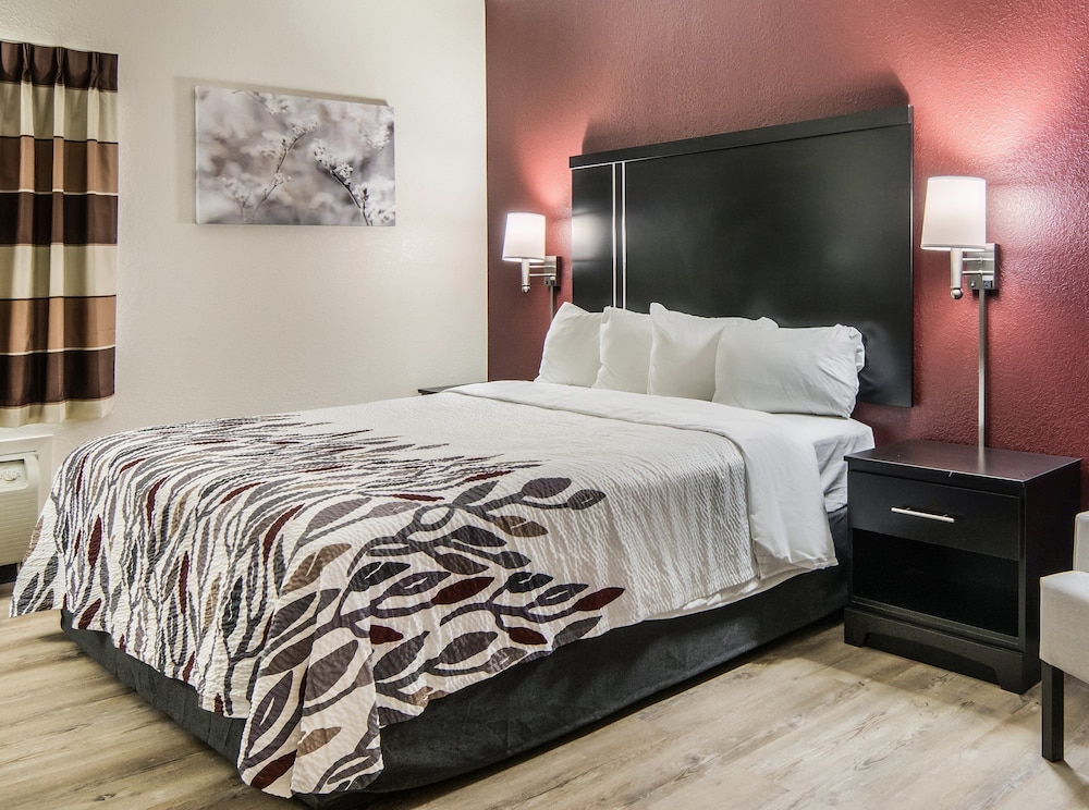 Red Roof Inn Binghamton North - photo 5