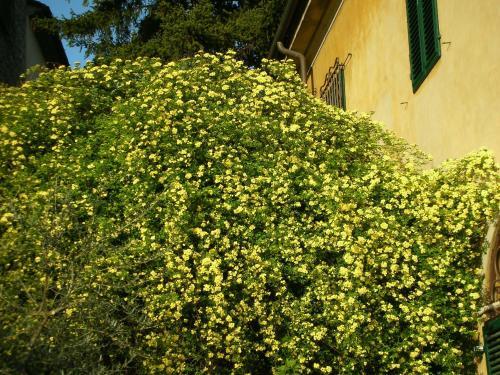 Locanda Giolica in Prato, Italy