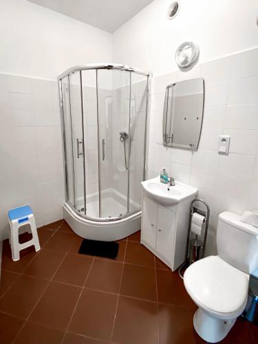 Schronisko M Codzie Owe Ptsm Alko in Rzeszow, Poland