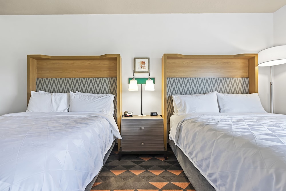 Holiday Inn St. Petersburg West by IHG - photo 8