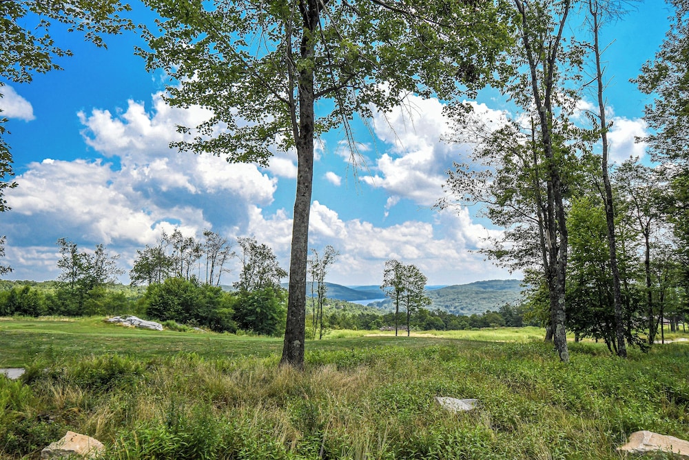Eagle on 7 - photo 52