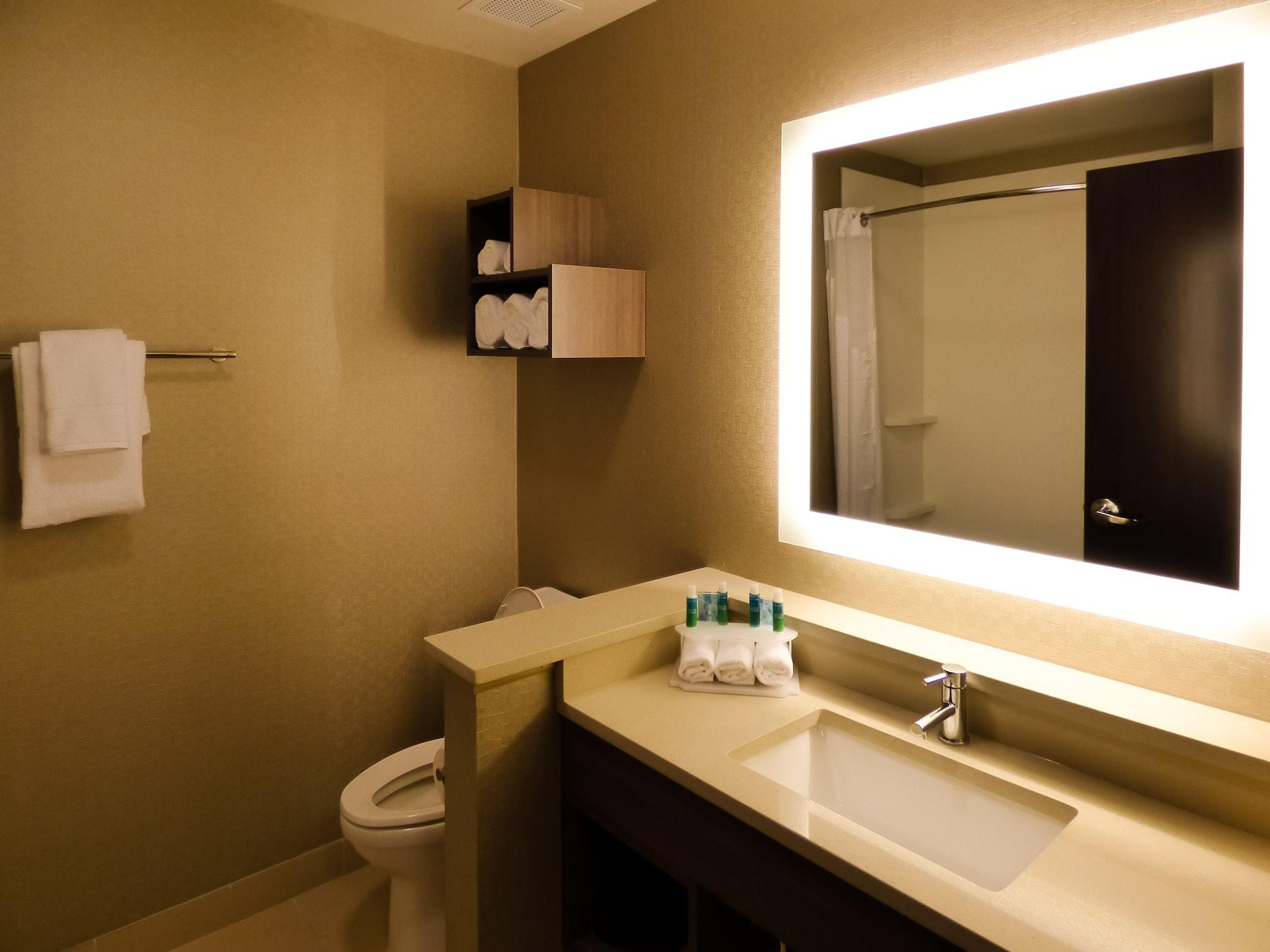 Holiday Inn Express & Suites Plymouth Ann Arbor Area by IHG - photo 15