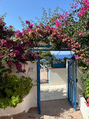 Casa Talento — 4-Star Luxury Hotel in Ponza, Italy