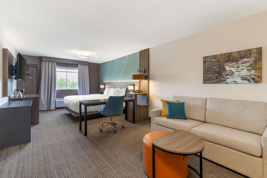 Comfort Inn & Suites Saratoga Springs - photo 29