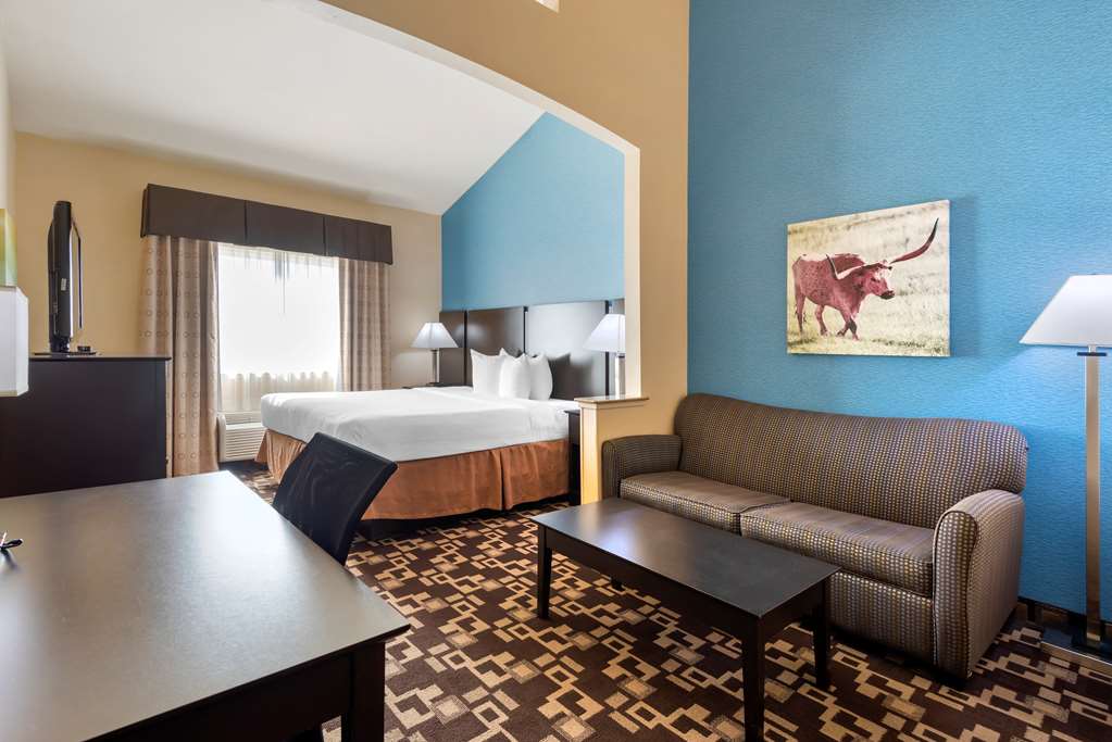 Best Western Plus Arlington North Hotel & Suites - photo 3