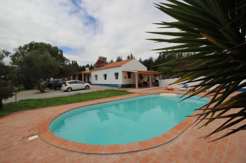 Cidrão dos Brejos in Santiago Do Cacem, Portugal