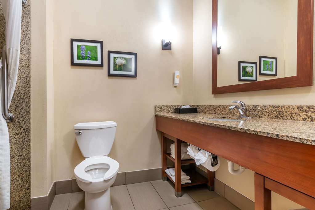 Comfort Suites Manhattan - photo 7