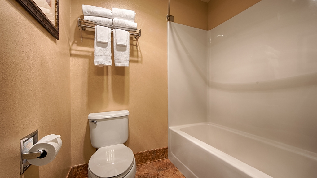 Best Western Plus Deer Park Hotel & Suites - photo 20