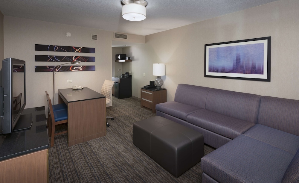 Embassy Suites by Hilton Chicago Downtown Magnificent Mile - photo 27