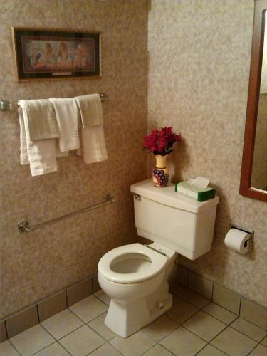 Woodridge Inn & Suites in Alma, United States