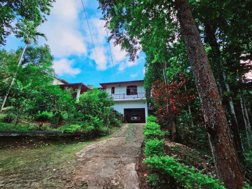 Green Heaven in Kandy, Sri Lanka