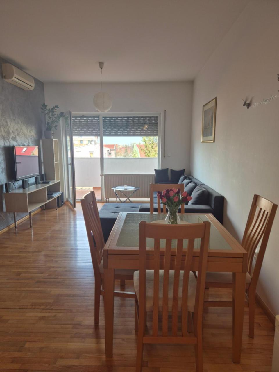 Moni in Osijek, Croatia