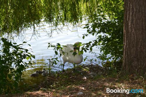 Hotel Restaurant des Lacs — Contrexeville — photo 4