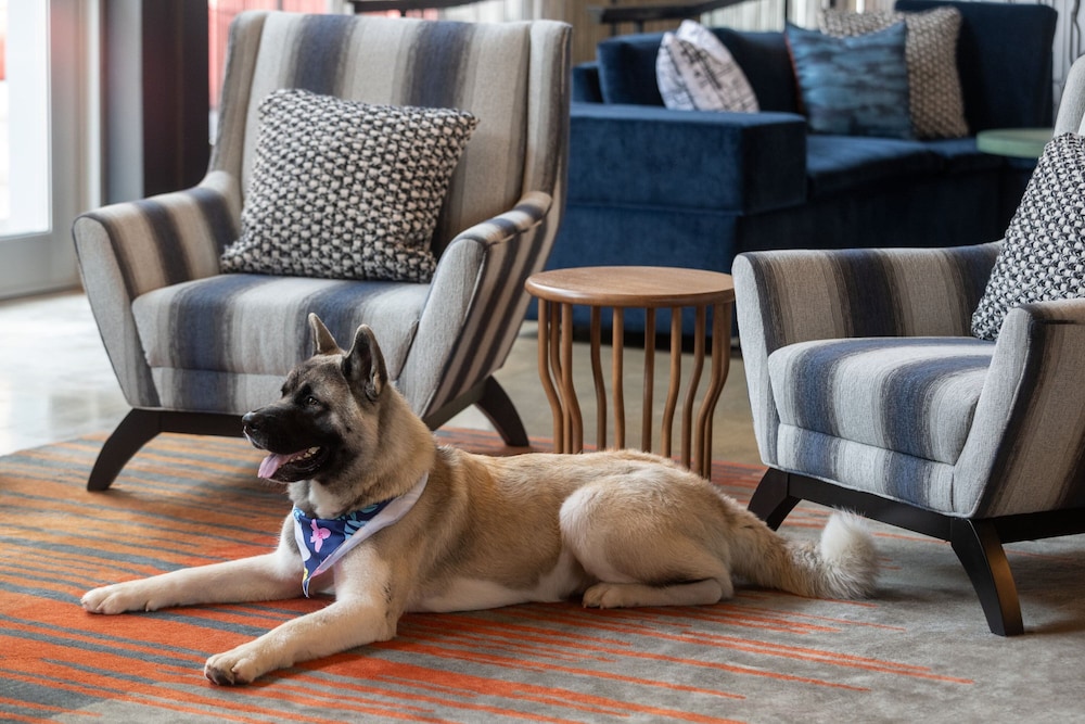 Aloft Beachwood - photo 4