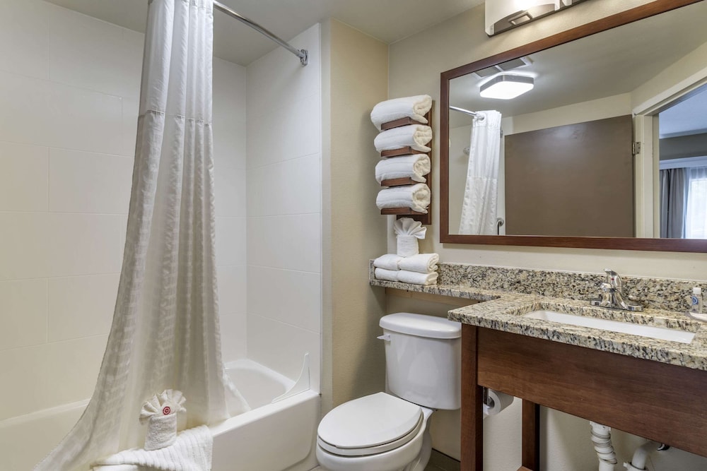 Comfort Inn Kingsport Southeast - photo 21