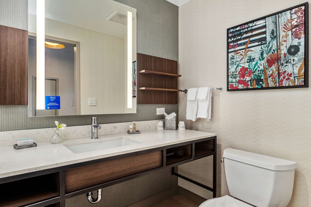 Hilton Garden Inn New Orleans French Quarter CBD - photo 44