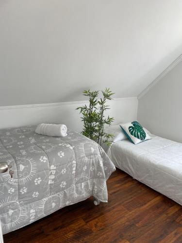 Departamento manantiales 1 — Punta Arenas — photo 3