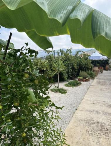 Casetta a Cavarretta in Unknown City, Italy