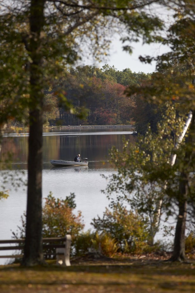 Mountain Springs Lake Resort - photo 330