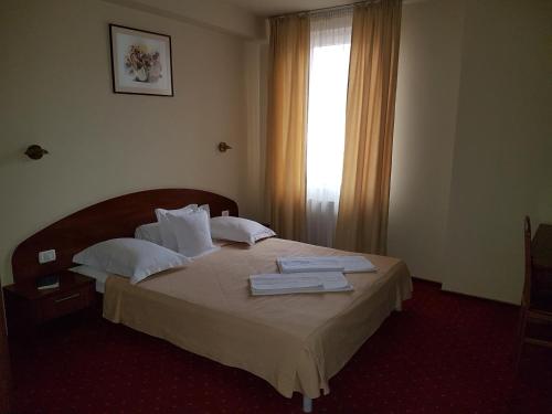 Hotel Iris - carbon neutral hotel in Arad