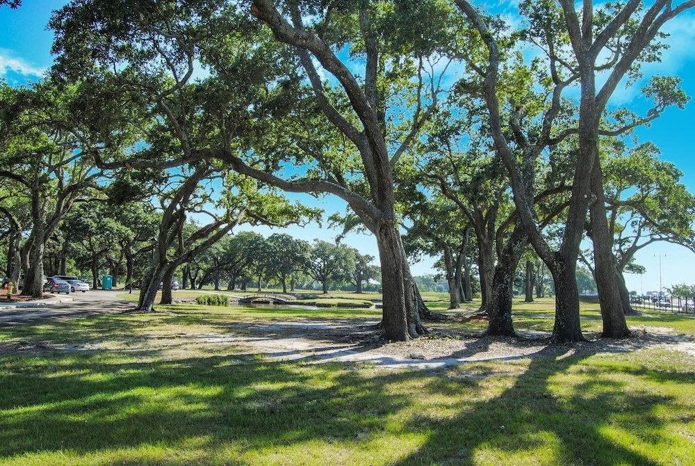 Oasis Resort Gulfport - photo 22