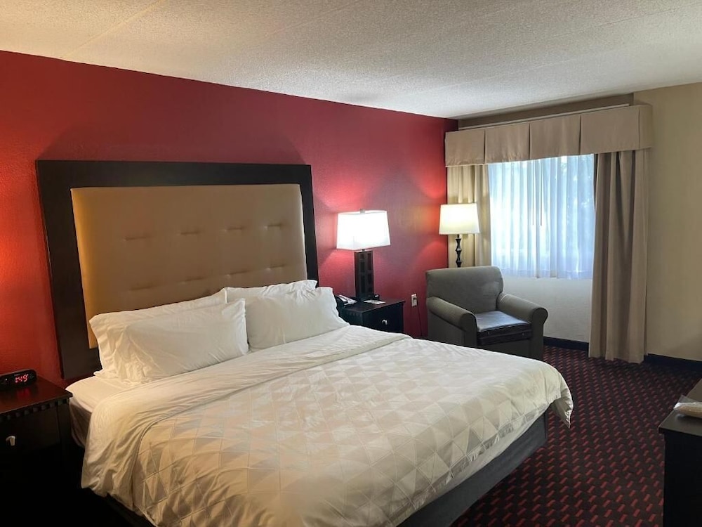 Wyndham Garden Dover - photo 12