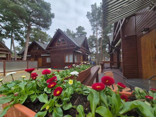 Aqua Domki Całoroczne Pobierowo in Pobierowo, Poland