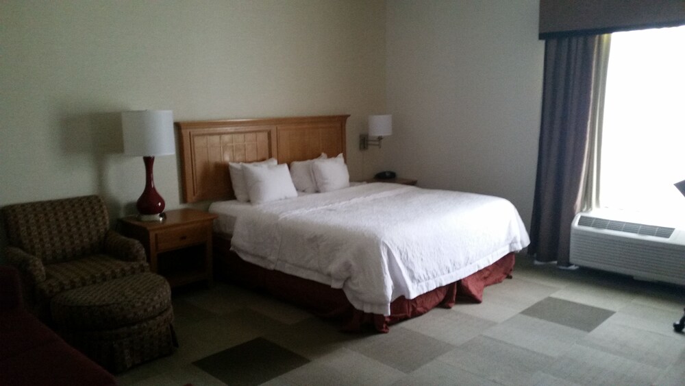 Hampton Inn Cortland - photo 16