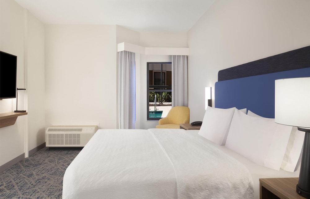 Hampton Inn & Suites Tampa North - photo 13
