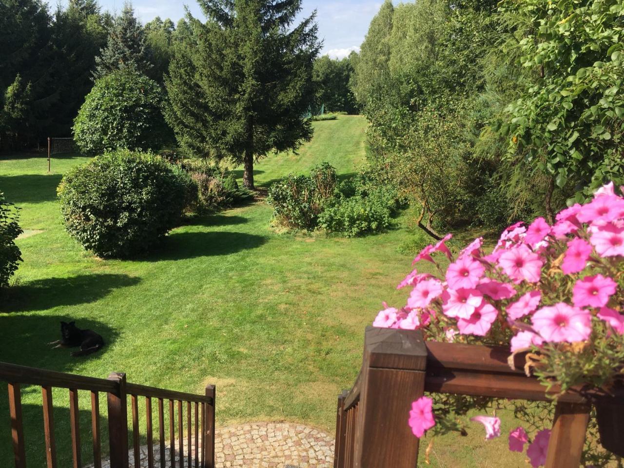 Siedlisko Dzika Kaczka — 4-Star Luxury Hotel in Elk, Poland