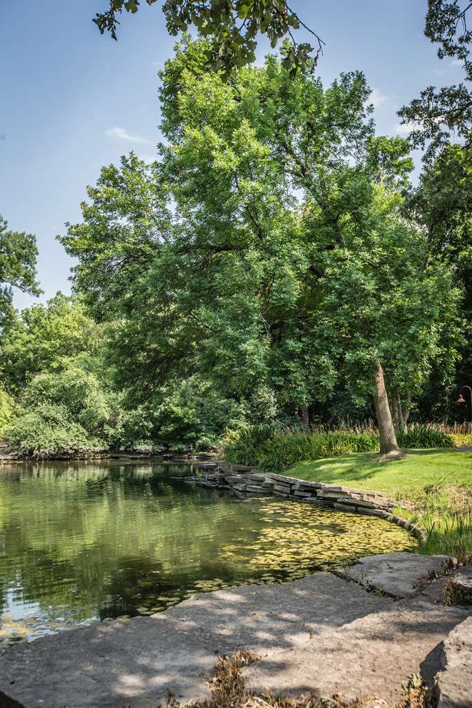 Hyatt Lodge Oak Brook Chicago - photo 16