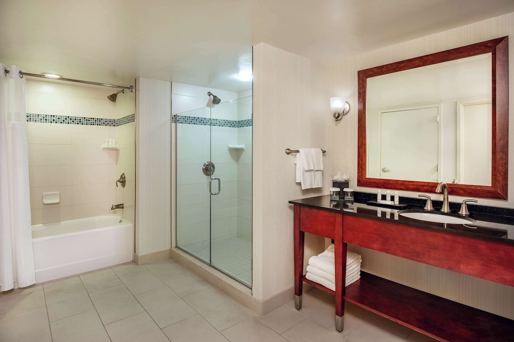 Embassy Suites by Hilton Boston Waltham - photo 42