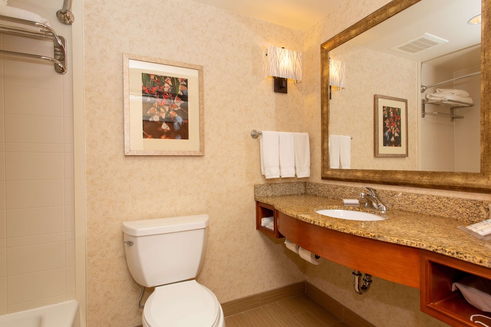Hilton Garden Inn Cedar Falls - photo 29