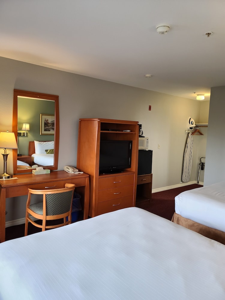 Tulip Inn - photo 11