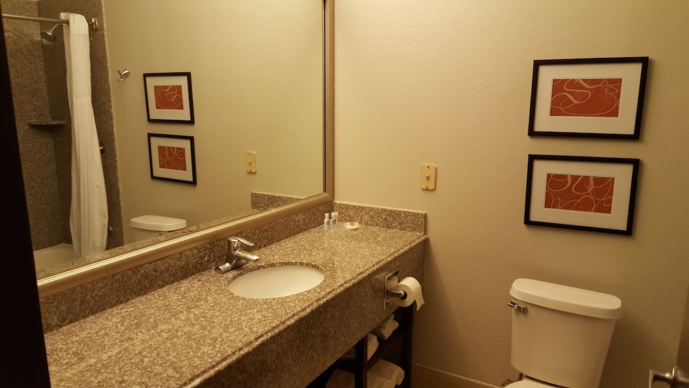 Comfort Suites Stafford Near Sugarland - photo 20