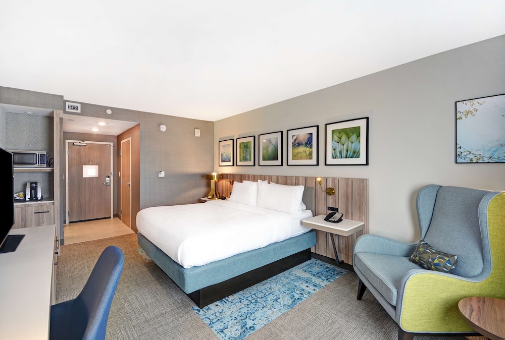 Hilton Garden Inn Houston Hobby Airport TX - photo 13