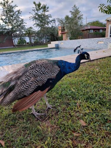 Finca Granja La Soñadita in Santiago Del Estero, Argentina