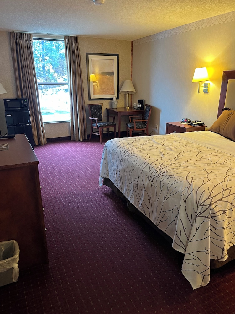 Mineral Palace Hotel & Casino - photo 14