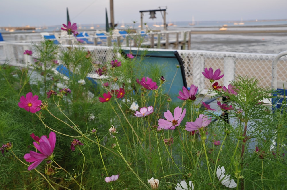 The Masthead Resort - photo 112