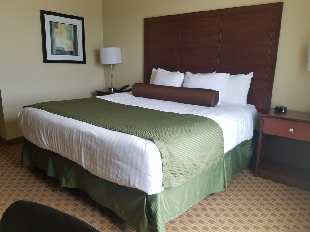 Cobblestone Inn & Suites Bottineau - photo 8