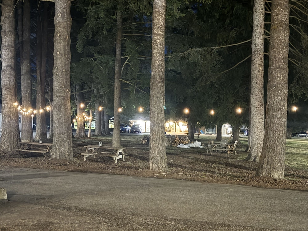 Kootenai Valley Motel - photo 85