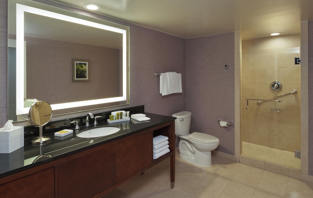 Hilton Washington DC Rockville Hotel & Executive Meeting Ctr - photo 24