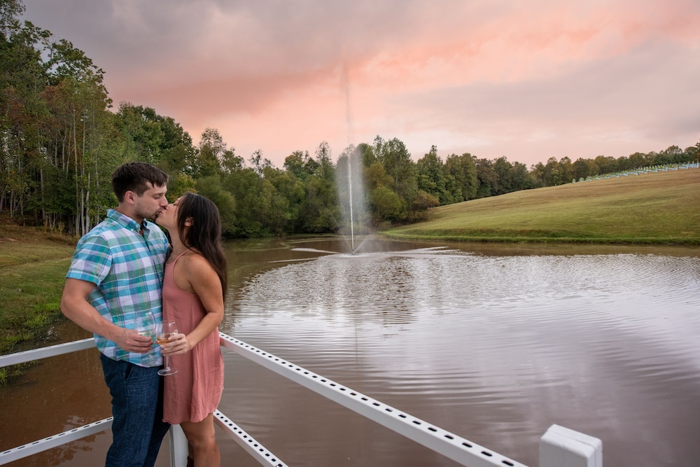 Dahlonega Resort and Vineyard - photo 46