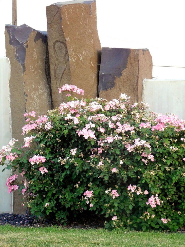Sunland Inn - photo 27
